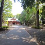 Miki Takes chat through Setagaya Hachiman Shrine